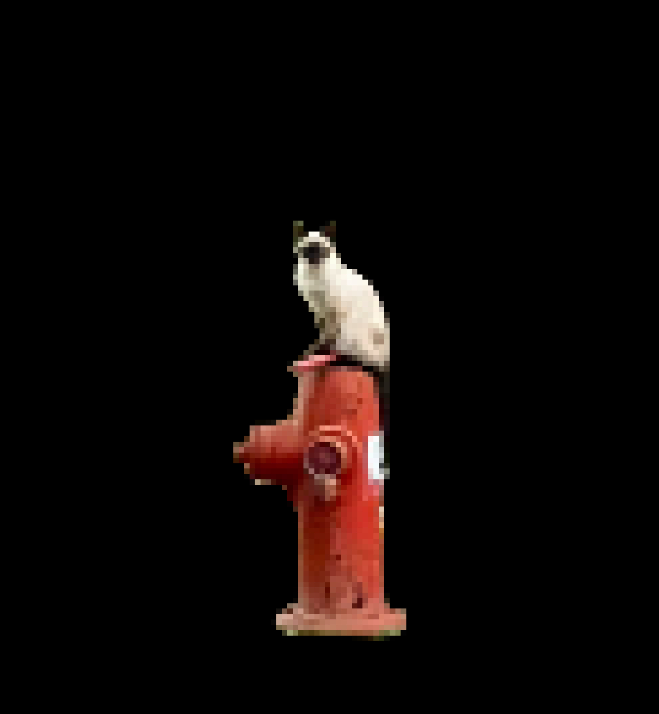 Cat Hydrant