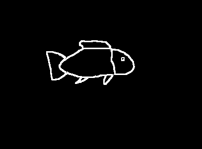 Stationary Fish