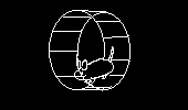 Spinning Hamster